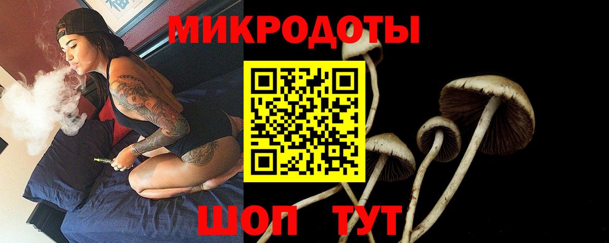 Геленджик  Галлюциногенные грибы Cubensis  Вход с VPN 