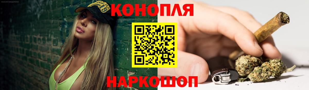 Бошки Шишки семена Геленджик